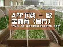 环境展示五