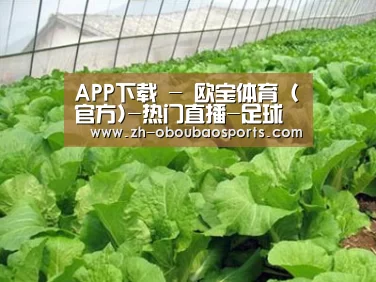 种植基地一